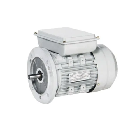 Electric motor Electric motor